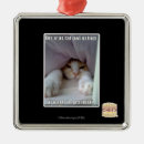 Search for bed christmas tree decorations I can has cheezburger