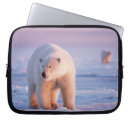 Search for ursus electronics Mammal