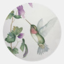 Search for green hummingbird stickers Garden