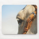 Search for horse eye electronics White