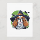 Search for brooms postcards Witches broom