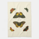 Search for butterfly placemats White