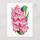 Search for gladiolus postcards Floral