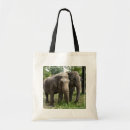 Search for elephant gifts Wildlife