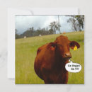 Search for vegetarian invitations Dinner