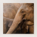 Search for wildlife puzzles Summer