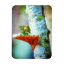 Search for winged dragon magnets Dragons