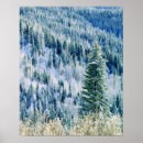 Search for washington state parks posters Forest