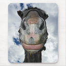 Search for funny horse mouse mats Humour