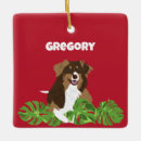 Search for australian shepherd christmas tree decorations Aussies