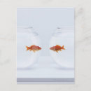 Search for separates postcards Separation