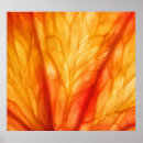 Search for orange slice posters Abstract