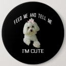 Search for funny dog quotes badges Puppy