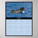 Search for loon posters Outdoors