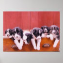 Search for border collie painting posters Farm