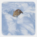 Search for snow cat stickers Wild