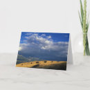 Search for digital bison cards Nature