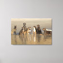 Search for enjoyment canvas prints Animal