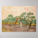 Search for picking posters Vincent van gogh