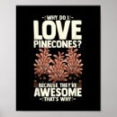 Search for pinecones posters Forest