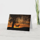 Search for southwestern cards Sunset