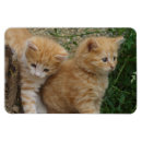 Search for sibling magnets Cute