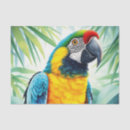 Search for parrot tissue paper Wildlife