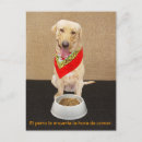 Search for aide postcards Funny