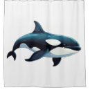 Search for cute orcas Animal