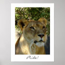 Search for cat pride art Africa