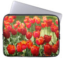Search for red tulip electronics Design