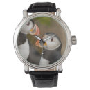 Search for puffin watches Iceland