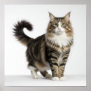 Search for norwegian posters Animal