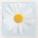Search for daisy coasters White