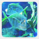Search for green fish stickers Blue