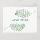Search for ferns postcards Green