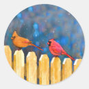 Search for cardinals stickers Snow