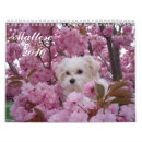 Search for maltese calendars Animals