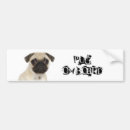 Search for pug bumper stickers Animals
