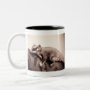 Search for sugar glider mugs Animal
