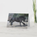 Search for gypsy cards Vanner