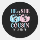 Search for he or she stickers Colorful