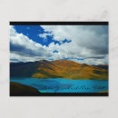 Search for yak postcards Tibet
