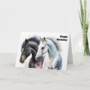 Search for black horse cards Equestrian