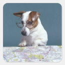 Search for dog with glasses stickers Humour