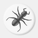 Search for ant magnets Animal