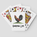 Search for gamefowl Chicken
