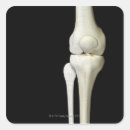 Search for human body part stickers Small business