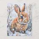 Search for hare postcards Wildlife