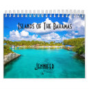 Search for bahamas Pigs